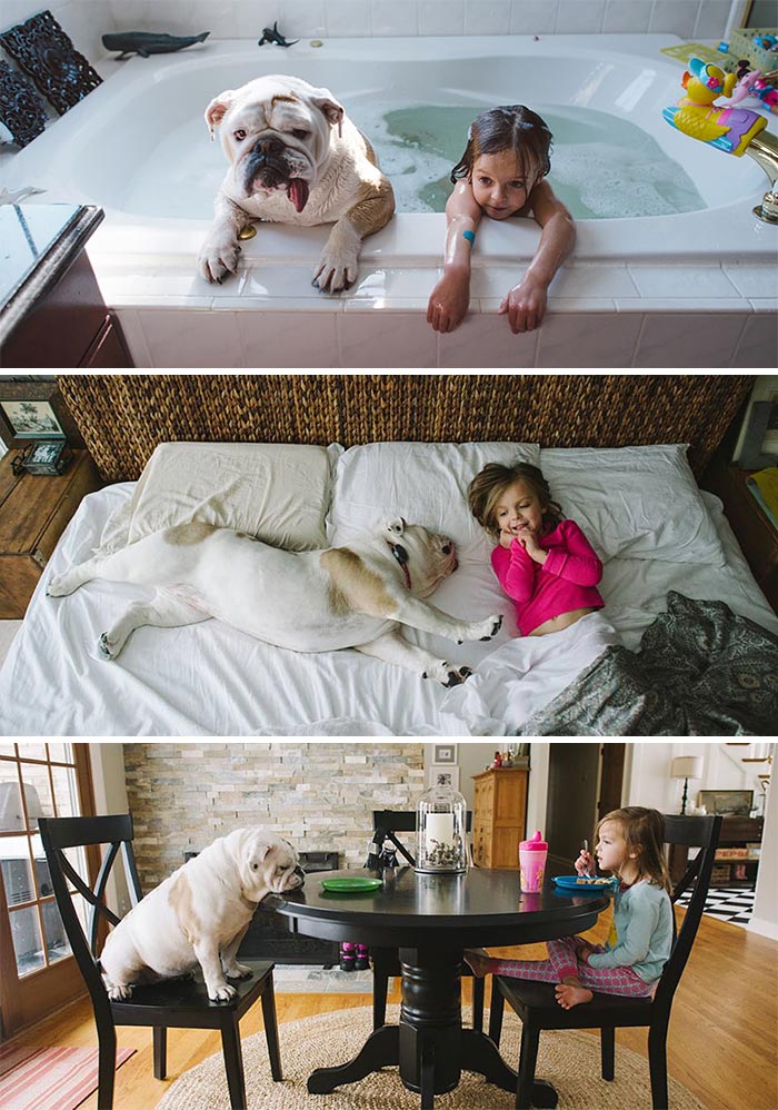 The Heartwarming Friendship Of A Little Girl And Her English Bulldog