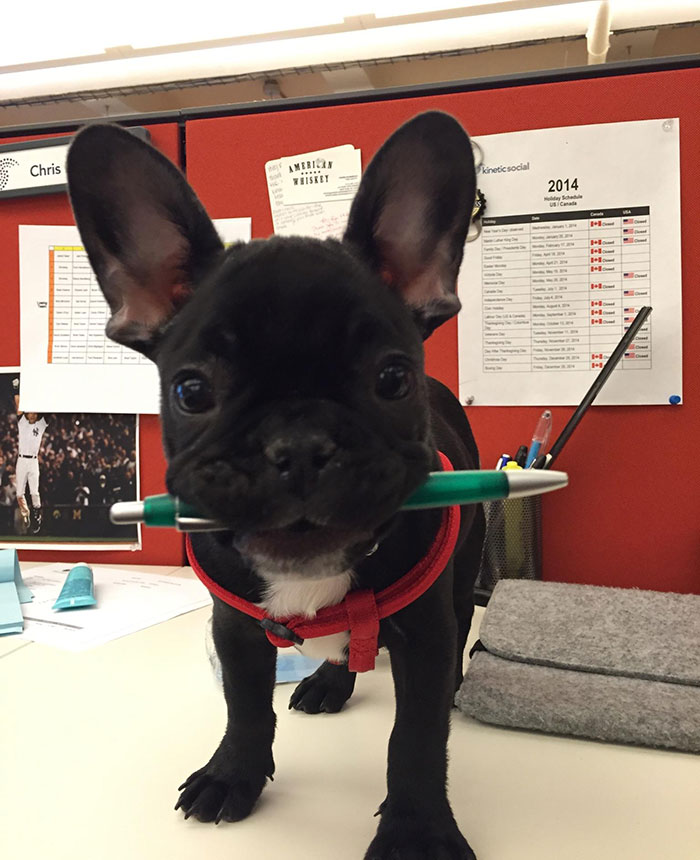 Take Your Daughter To Work Day