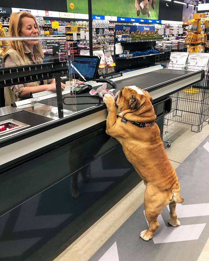 I’m A Grown Man, I Do My Own Shopping. I Mean, Maja Pays For Everything, I Just Do The Shopping Part