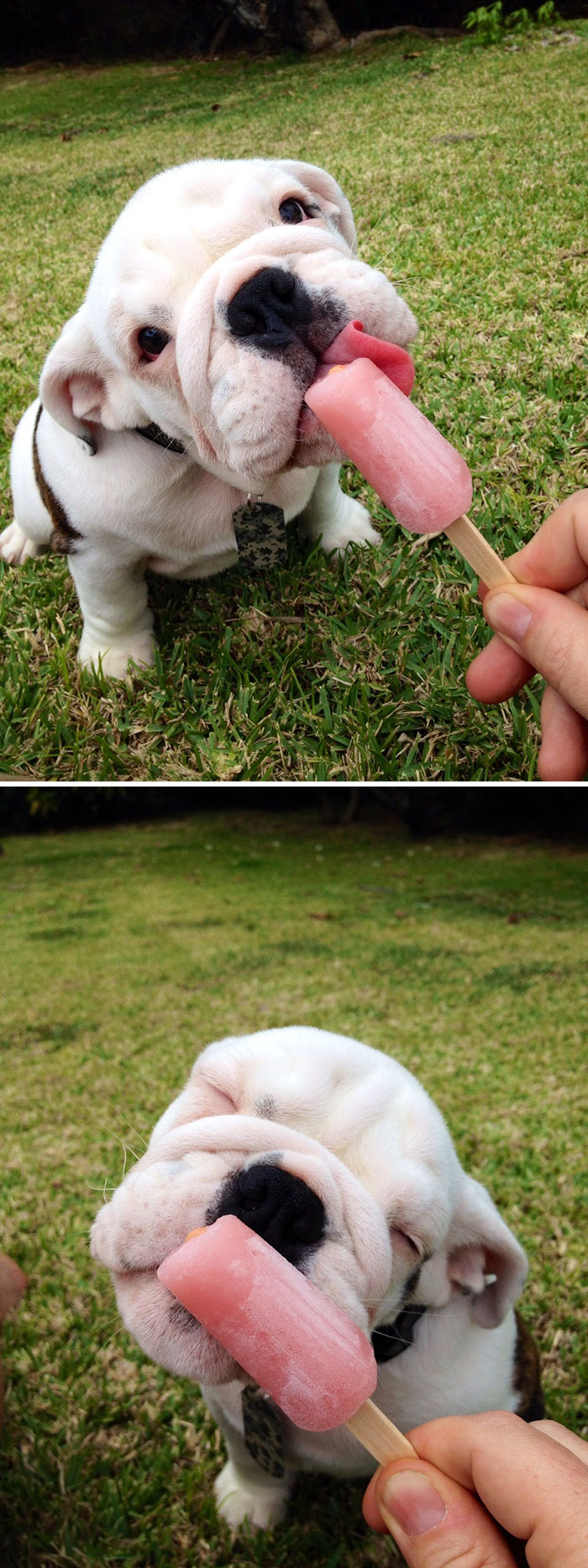 I Like Ice Cream Too