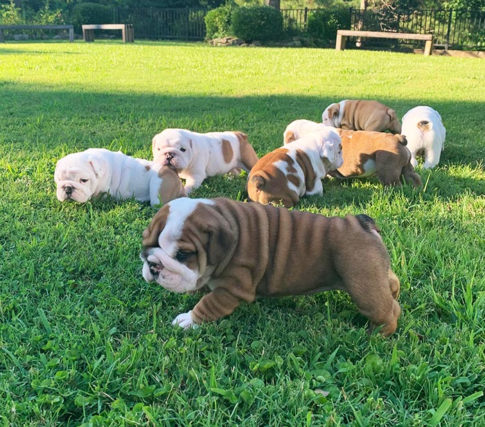 Heaven Does Exist. It’s Full Of Rolls