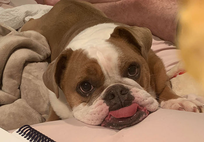 Homework And Emotional Manipulation: A Portrait