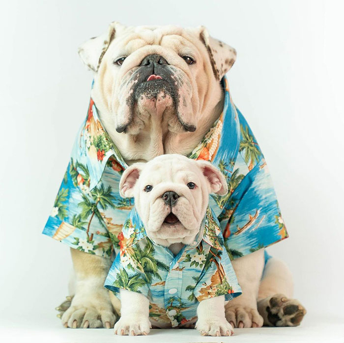 Turns Out My Kid Is A Better Model Then Me