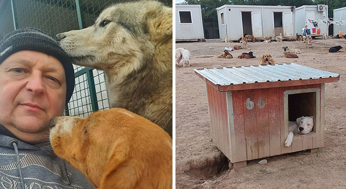 Serbian Man Started A Shelter With His Mother Over 20 Years Ago, Now He’s Taking Care Of More Than A Thousand Dogs