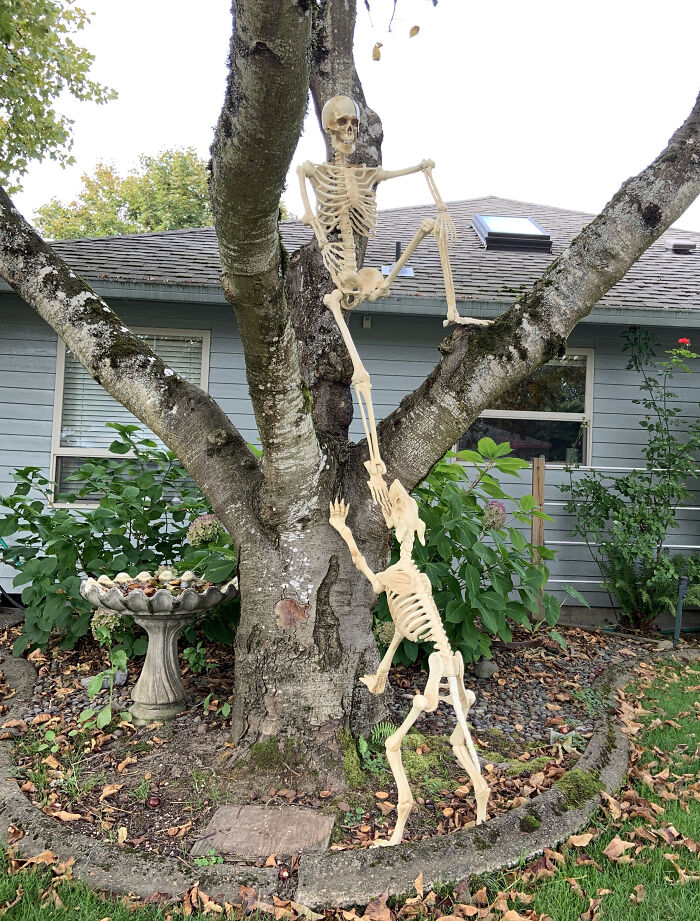 My Neighbors Enjoy Halloween