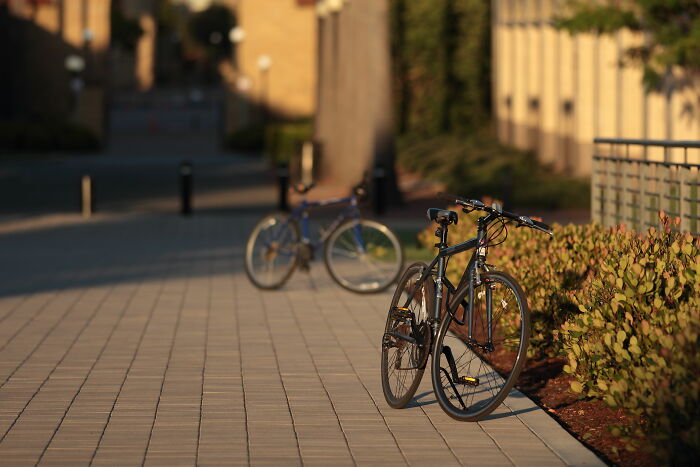 40 Times People Did Something So Dumb For Absolutely No Reason And Shared It In This Thread