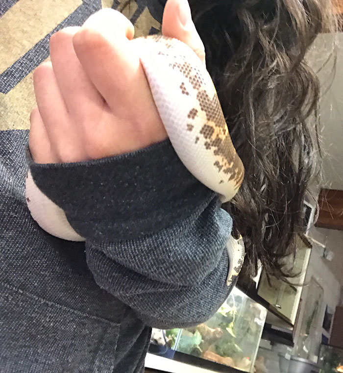 Boyfriend Suspects His GF Might Be Cheating 'Cause She Lied About Where She Was, But Things Take A Wholesome Turn