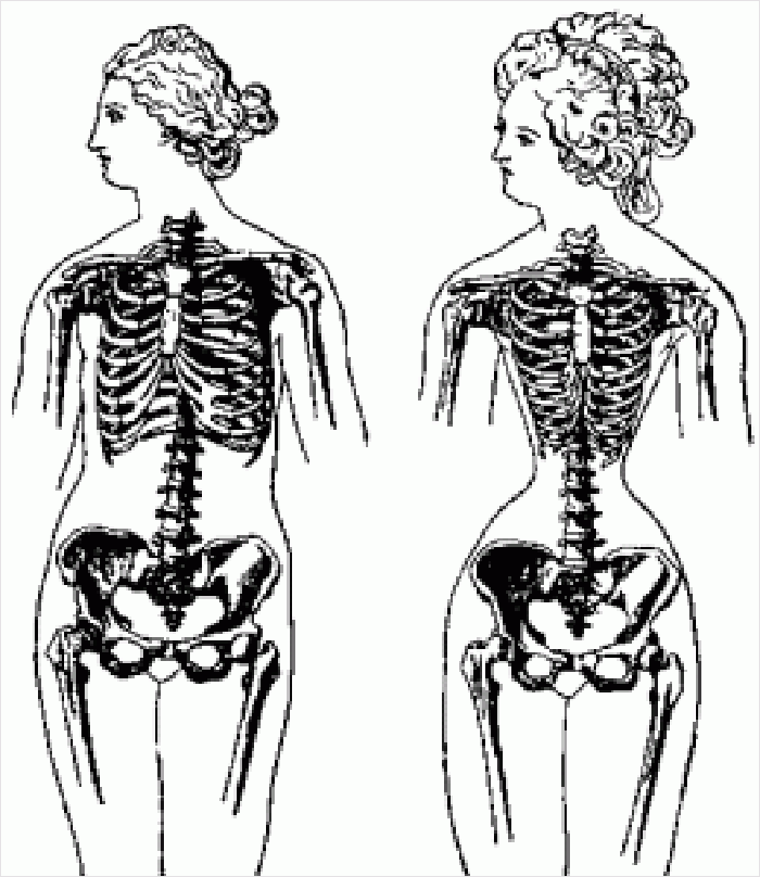 Guy On Tiktok Explains What Straight People Find Attractive In The Opposite Sex Using Evolutionary Theory Guy On Tiktok Explains What Straight People Find Attractive In The Opposite Sex Using Evolutionary Theory
