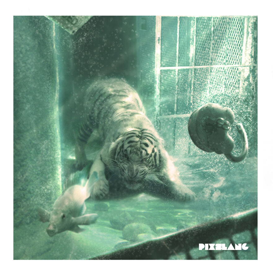 We Love To Be Creative With Animals We Love To Be Creative With Animals
