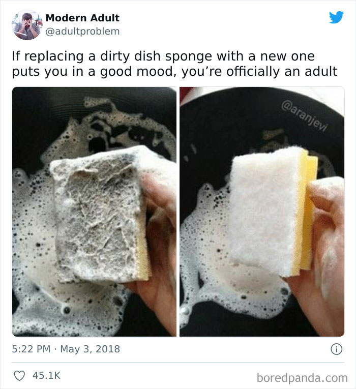 Dirty versus clean dish sponge meme illustrating adult humor.