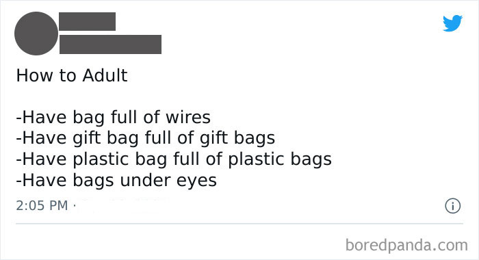Funny adult meme illustrating the humorous struggles of adult life with a list of bag-related challenges.