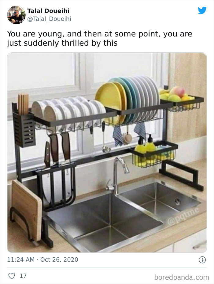 Kitchen sink organizer with dishes, knives, and cleaning supplies arranged neatly; a funny adult meme theme.
