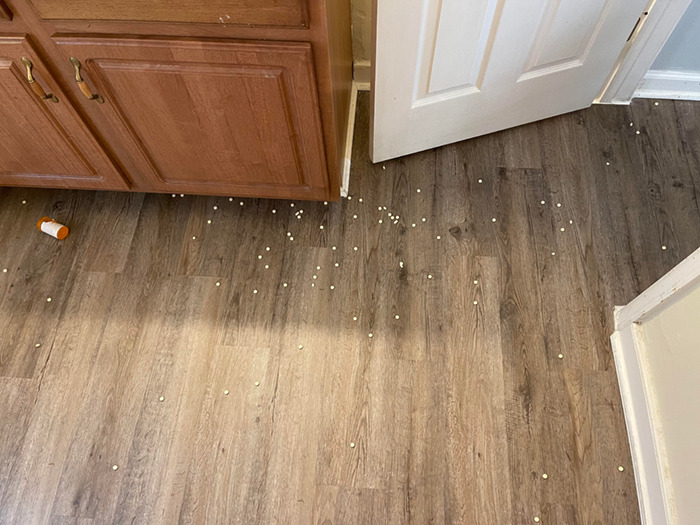 Is It Funnier Knowing That These Are Antidepressants?