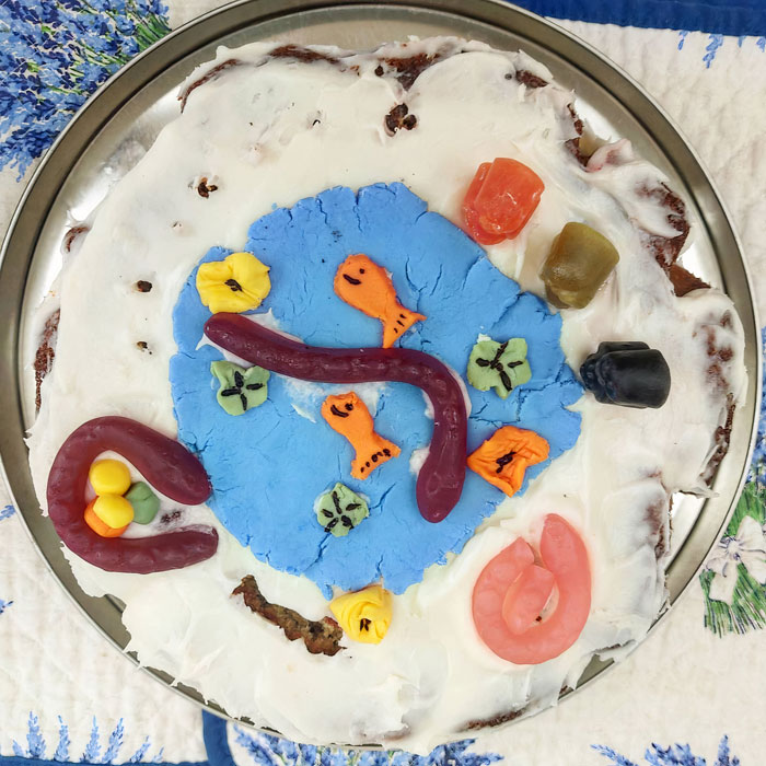 Baked A White Chocolate And Raspberry Sponge Cake For My Brother's Birthday