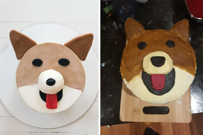 Dog-themed cake fails humorously compared side by side.