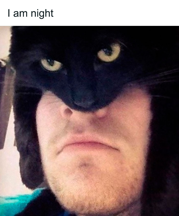 Halloween Costume Sorted