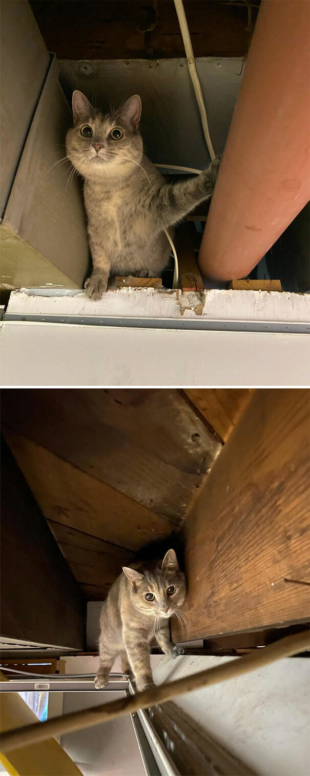 Exploring The Basement Ceiling On My Own Tonight