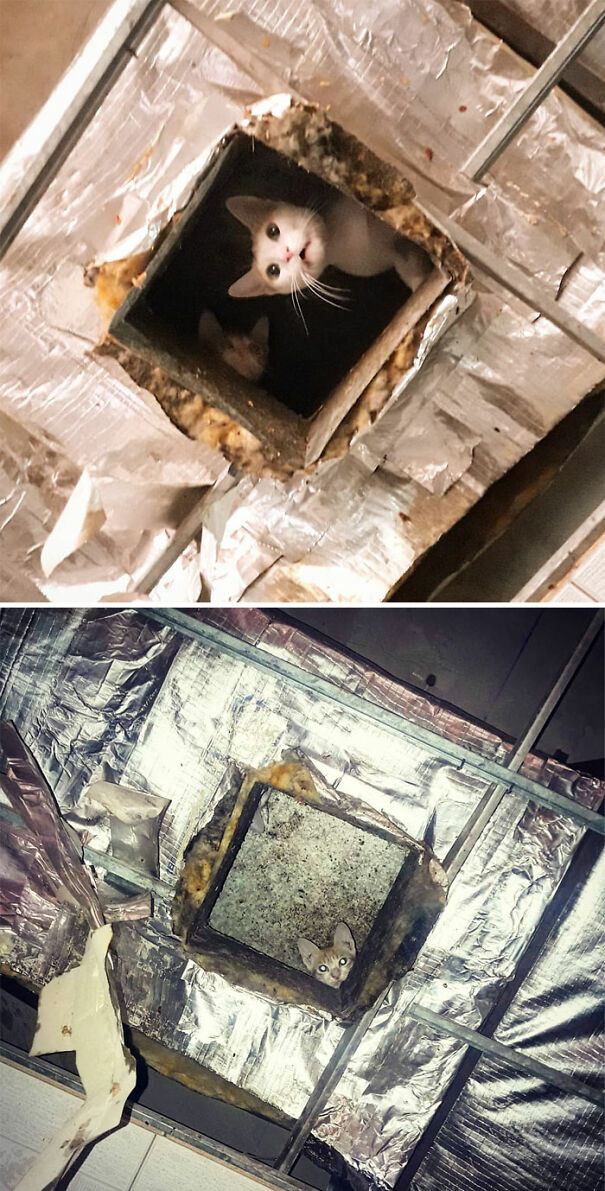 Perla And Her Son Silko