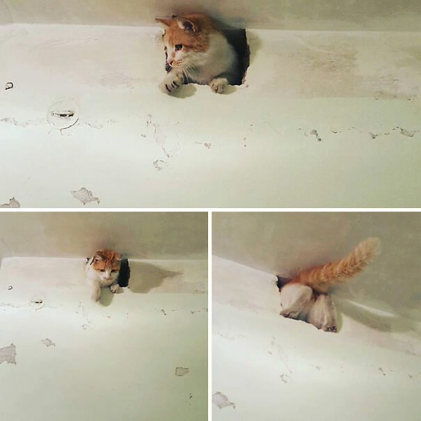 Simon Oversees His Mother's Repairs