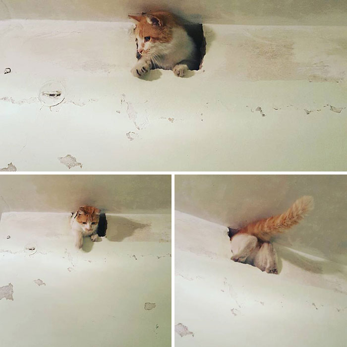 Simon supervisa las reparaciones de su mamá