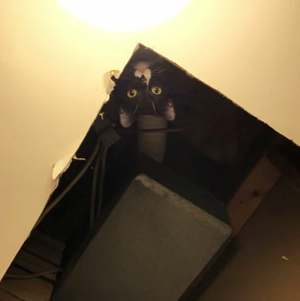 How Did She Get Into The Ceiling?