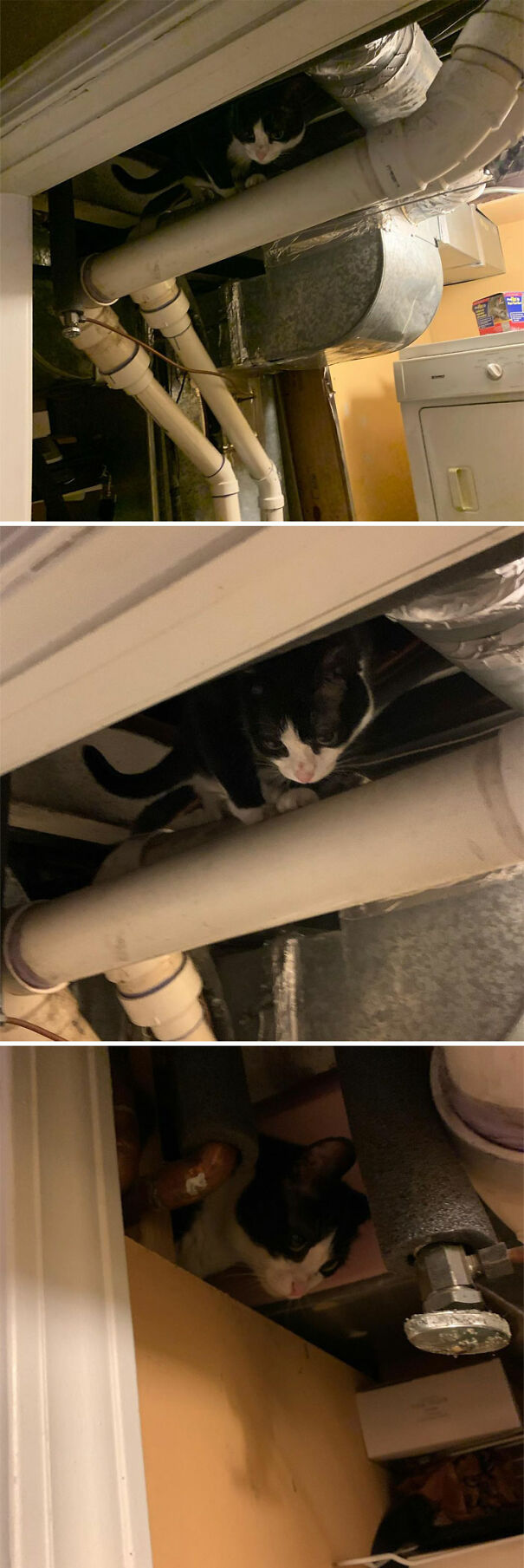 Is This Not What You Did At 1am? Try It. It’s Fun. Send Help