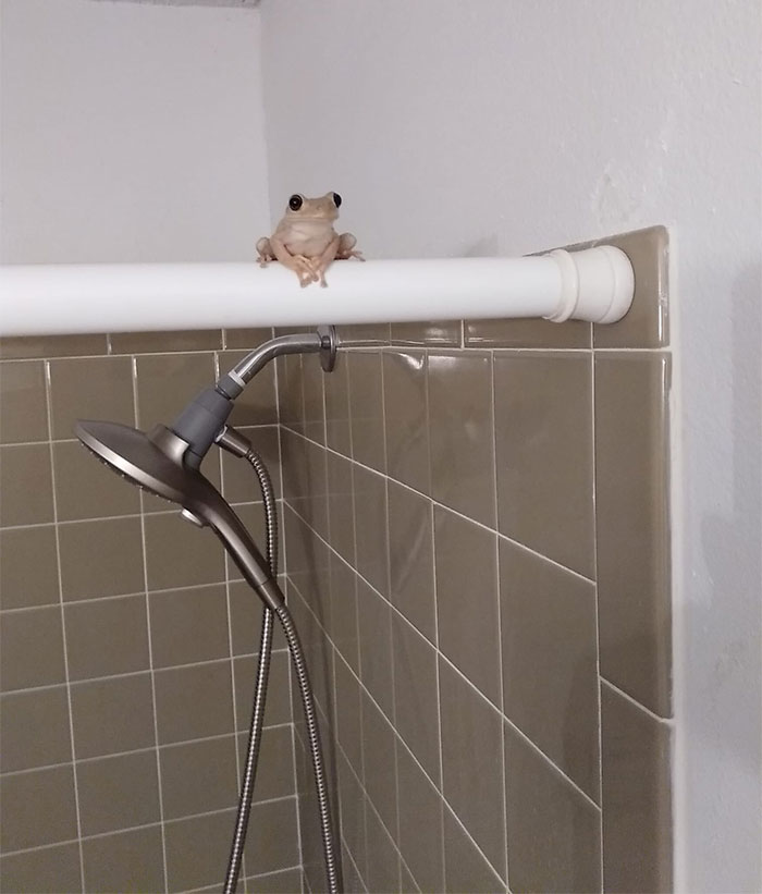 What Do You Think This Guy Wants To Tell Me? Guess I'll Never Know. Since He Wasn't Paying Rent I Evicted Him