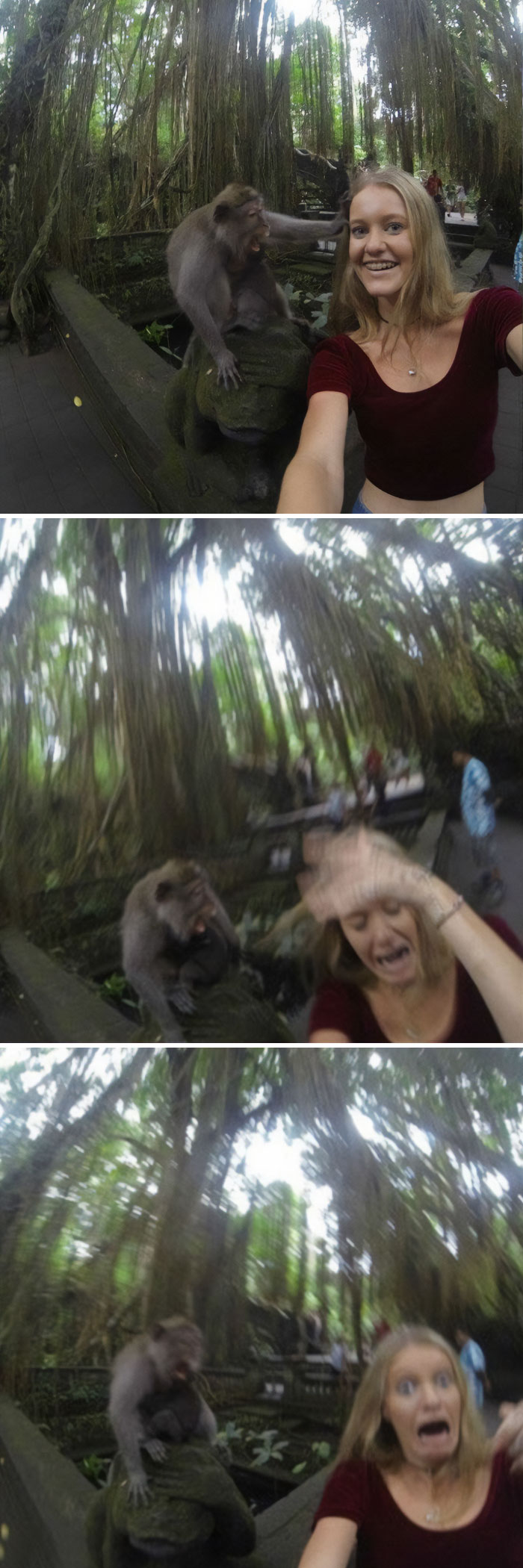Person takes a selfie with a funny monkey reacting in surprise.