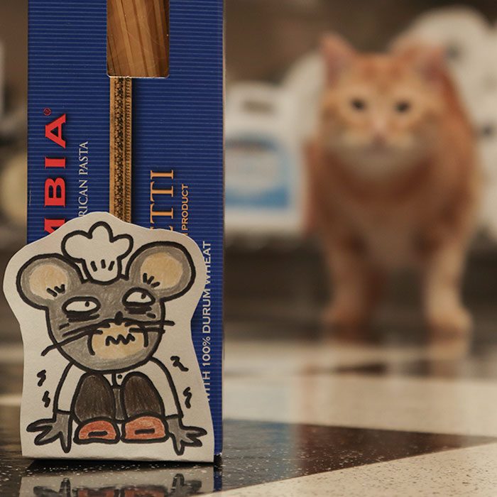 Brother Is Cat Sitting And I Asked For Update Pictures. This Is What He Sent