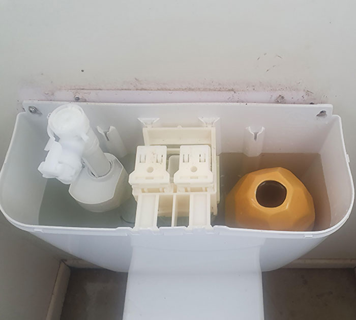 My Family Has 2 Vases That We Keep Leaving At Each Other's House. This Is Where I Hid One Today