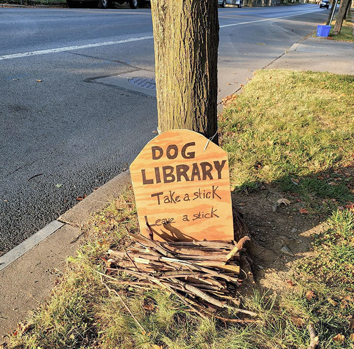Biblioteca para perros: Llévate un palo, deja un palo