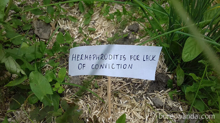 Funny-Signs-For-Snails