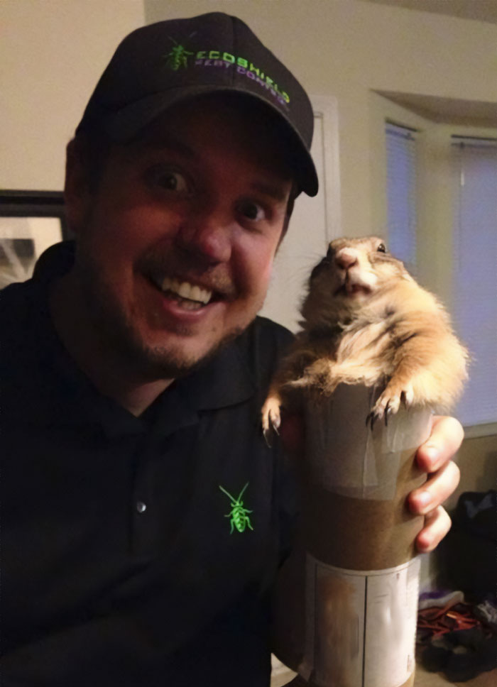 My Friend's Pet Prairie Dog Got Stuck In A Mail Tube. The Photo Is Brilliant