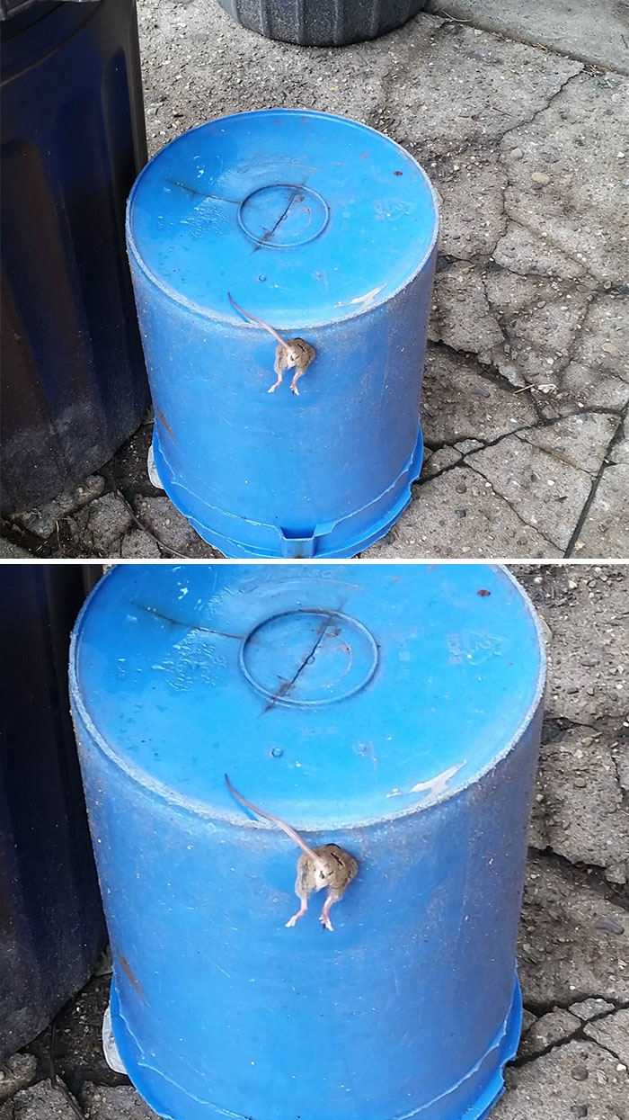 He Got Stuck So I Had To Help Him Out