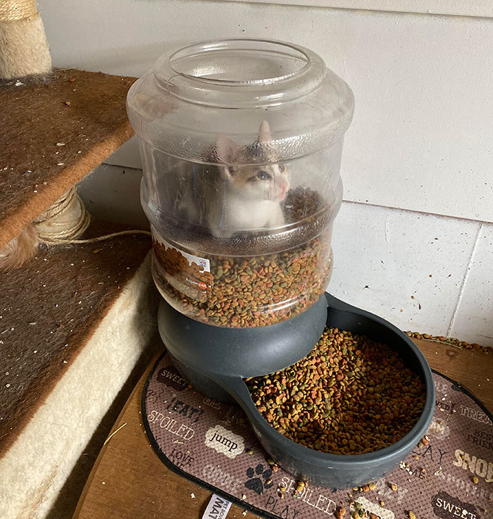 He Has It All But It Cost Him Everything