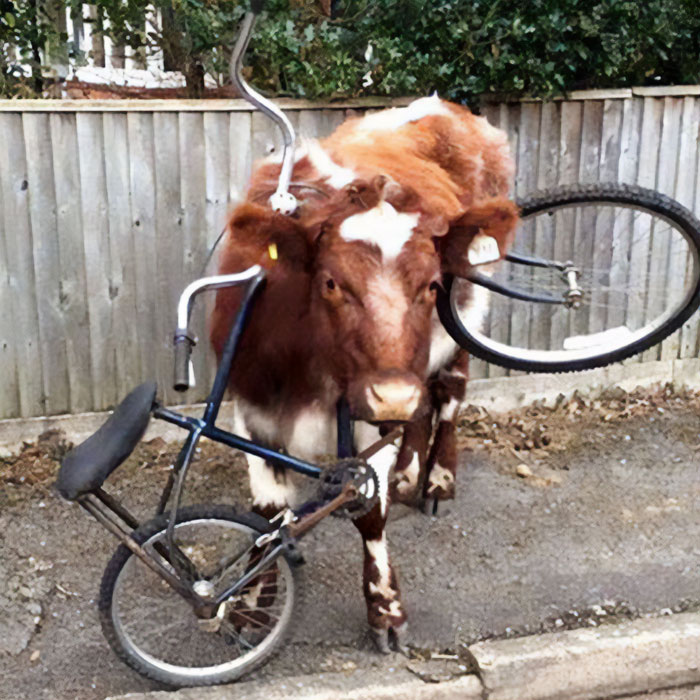 Just Chillin' With His New Bicycle