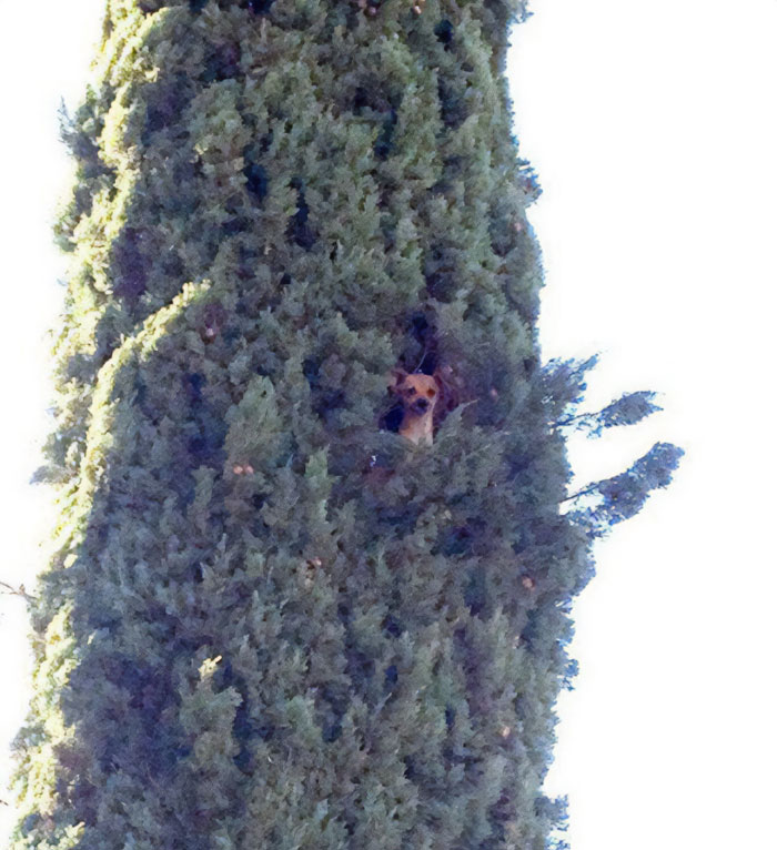 Stuck Somewhere Up There