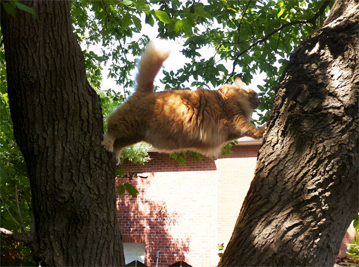 We Actually Had To Help Him Down