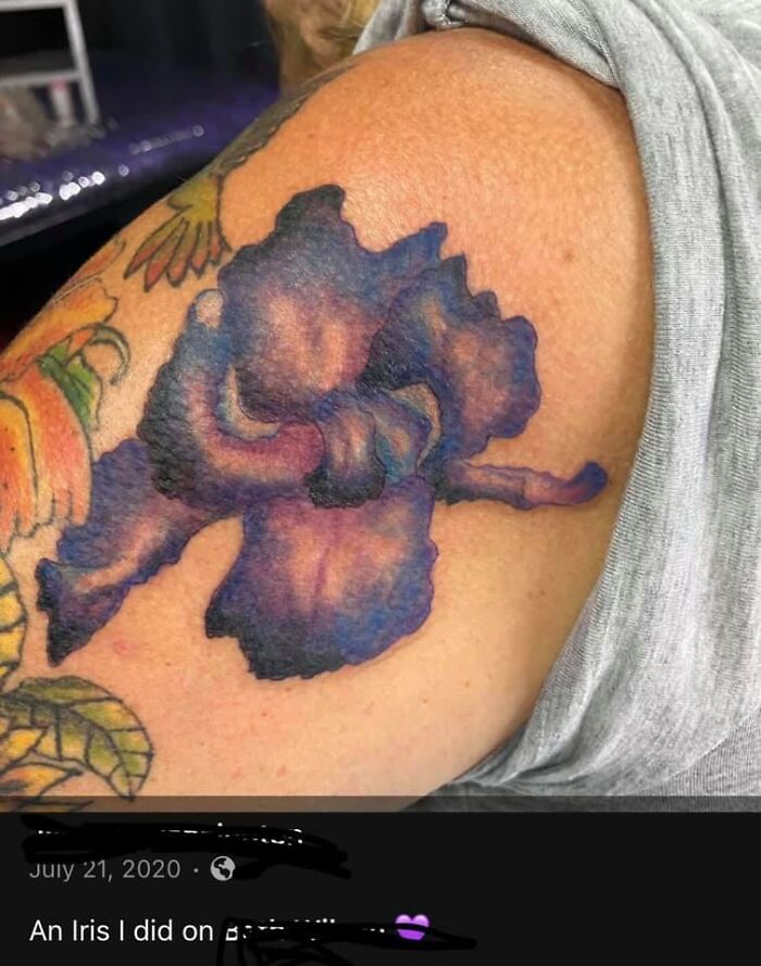 I Don’t Know What That Purple Blob Is, But An Iris It Is Not.