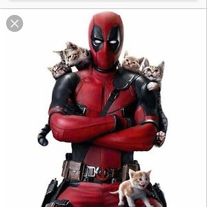 clintoncsmith avatar