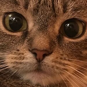 halmai-anita97 avatar