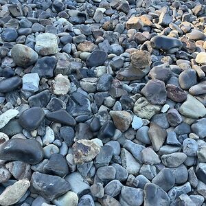 michaelweksler avatar