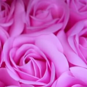 chloearmstrong avatar