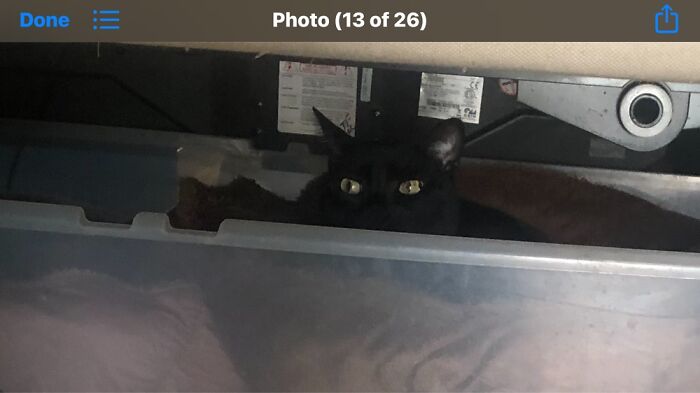 Beware...jinx Is Looking At You