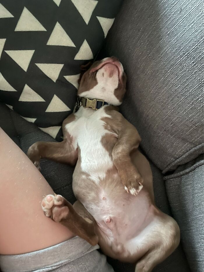 He Sleeps On His Back