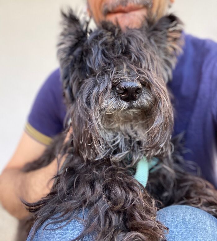 Akira. Born On December 24