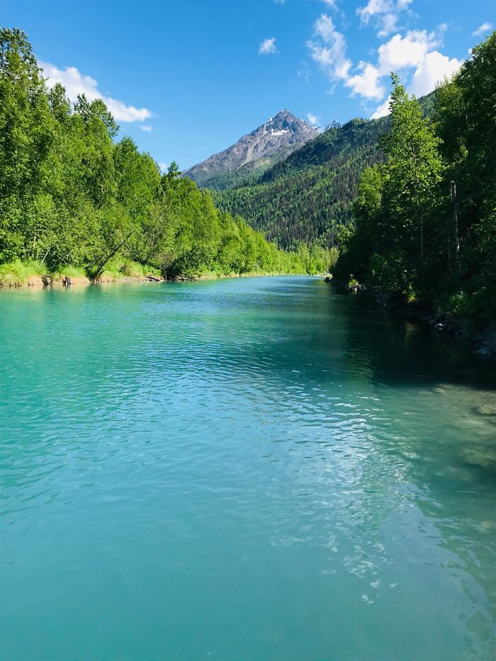 King Salmon Fishing At Eklutna Trail Race Alaska