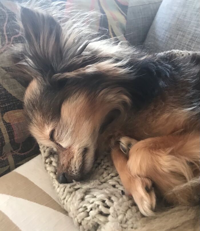 My Little Leo, 10 Years Old