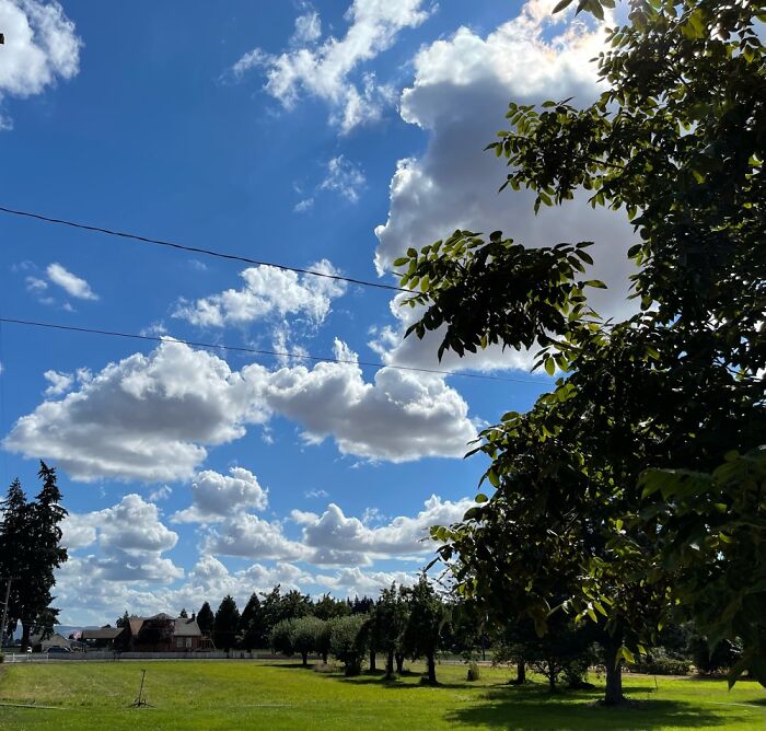 Last Day Of August With Blue Sky And Clouds Over Our Orchard In Oregon. Fall Is Coming.