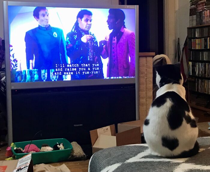 Riley Watching Red Dwarf